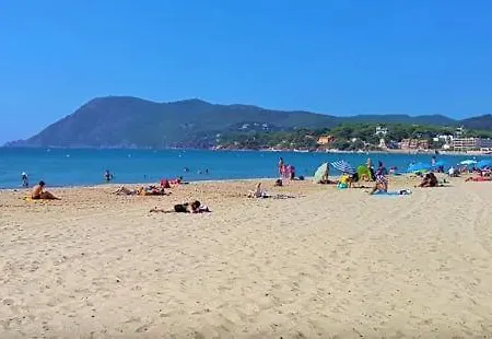 Apartment L'antre De Mer: Beachfront Retreat With Sea Views La Seyne-sur-Mer